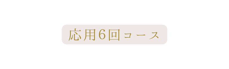 応用６回コース