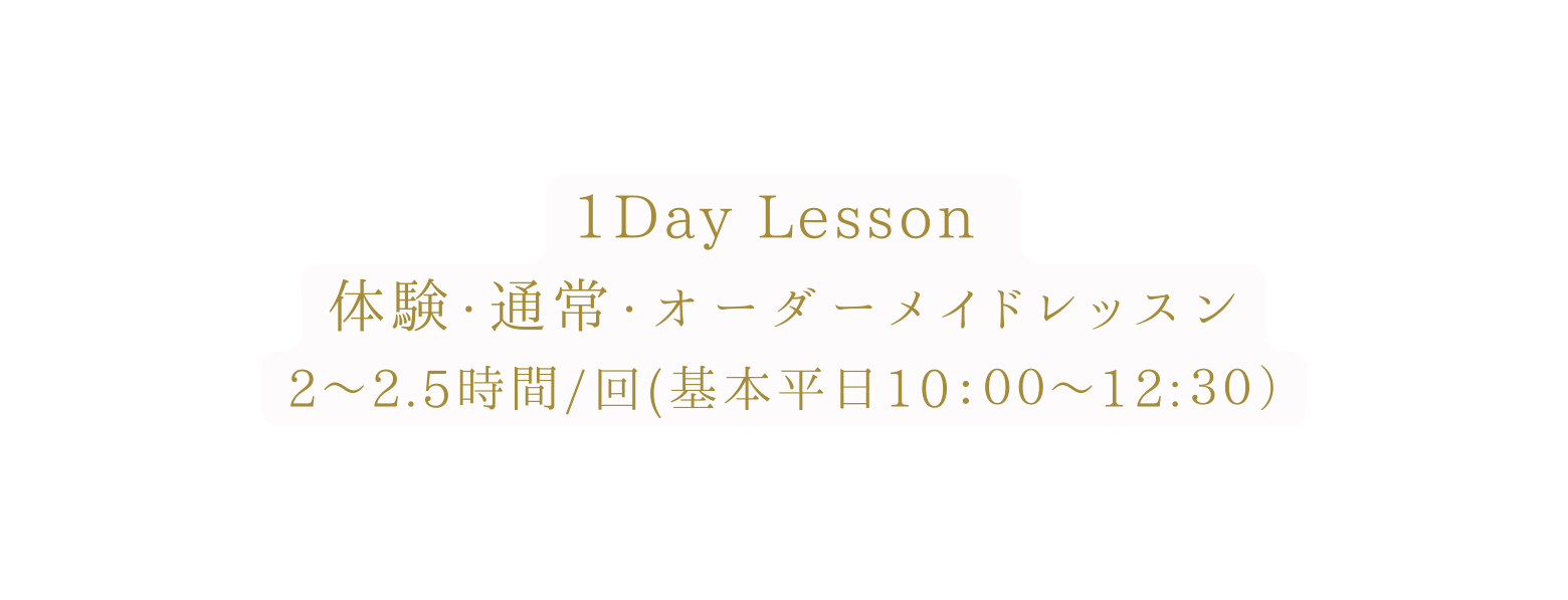 1Day Lesson 体験 通常 オーダーメイドレッスン 2 2 5時間 回 基本平日10 ００ 12 ３０